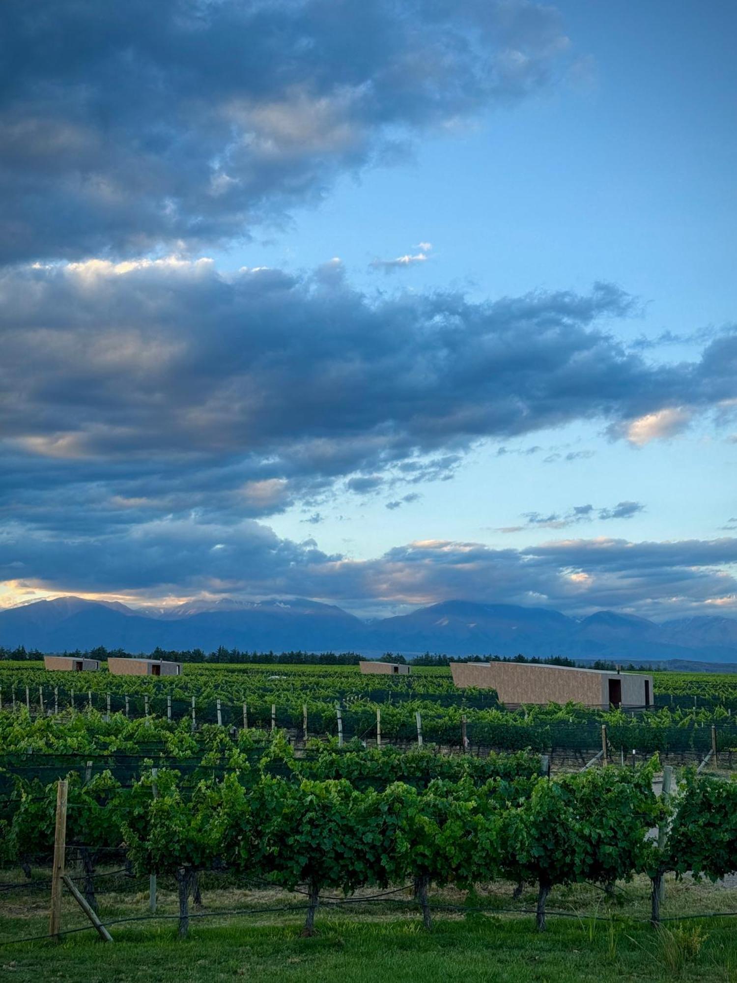 Andeluna Winery Lodge Тупунгато Экстерьер фото