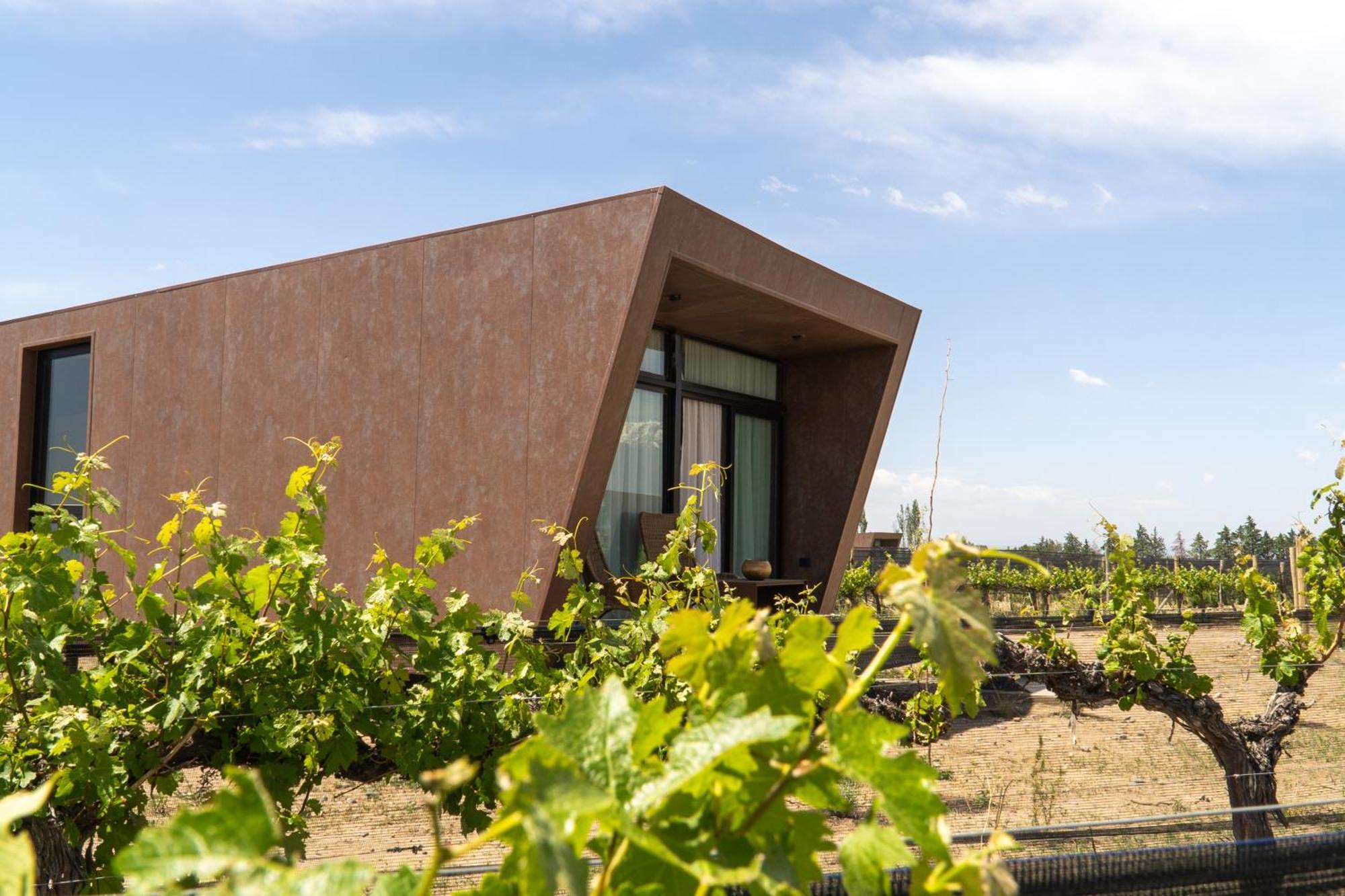 Andeluna Winery Lodge Тупунгато Экстерьер фото